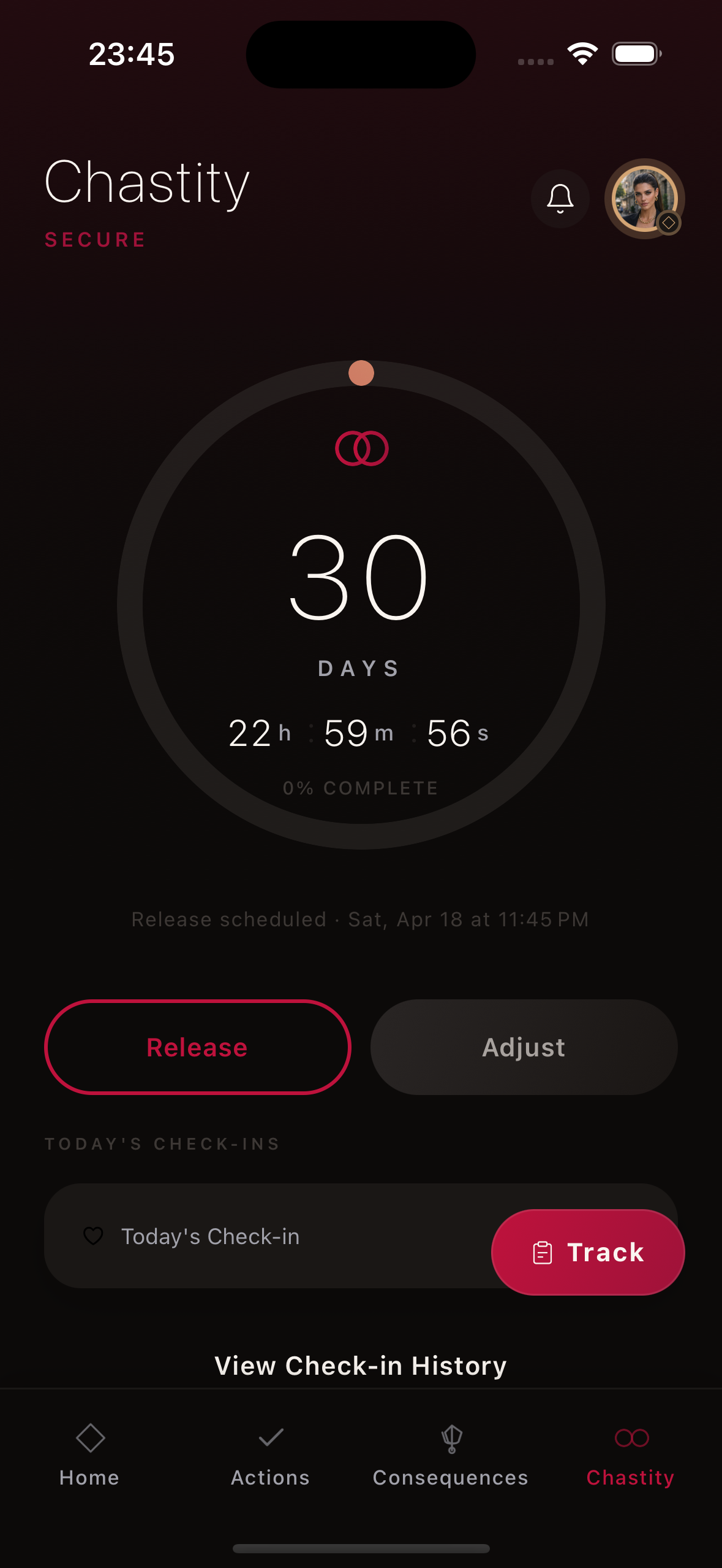 Kneel chastity screen showing an active 30-day lock, partner controls, and today's check-in
